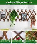 Expandable Garden Trellis For Climbing Plants Outdoor Adjustable Wooden Lattice Fence Panel 13.1 Inches By 67 Inches No Tool Needed EZ Install with decorative use on wall showcasing frames and plants.