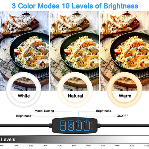 Overhead Camera Mount With Ring Light 6 Inch Reach showing white, natural, warm light modes on food