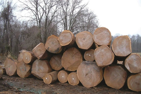 Stacked logs in a forest, potential use for End Sealer Wax Emulsion For Logs And Lumber, Water Based Protects Fresh Cut Ends From End Checks And Splits Up To 90 Percent, Ideal For Hardwood And Softwood, Quick Dry Quart Size, No Solvents, Easy To Apply.