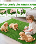 All Weather Artificial Turf For Dogs And Indoor Potty Training Replacement Grass Rug For Patio Balcony Lawn Weatherproof Dog Pad With Drainage Holes Easy To Clean 18x28 Inch Multiuse Indoor Outdoor Mat shown with puppies and child playing on it
