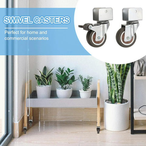 Beefy 2 Inch Caster Wheel Set 4 Pack With 2 Brakes And 2 Swivel Casters in a living room setting next to houseplants.