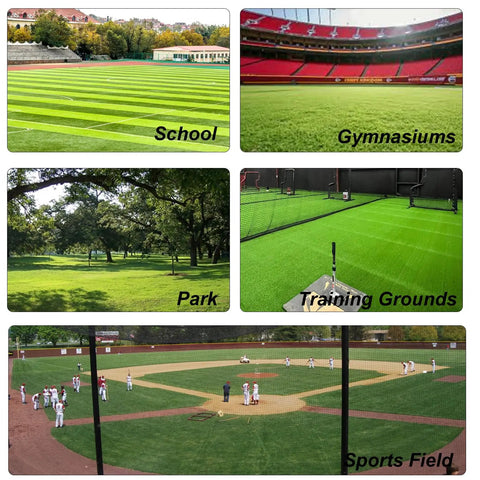 Variety of sports fields including school, gymnasiums, park, training grounds, and sports field.