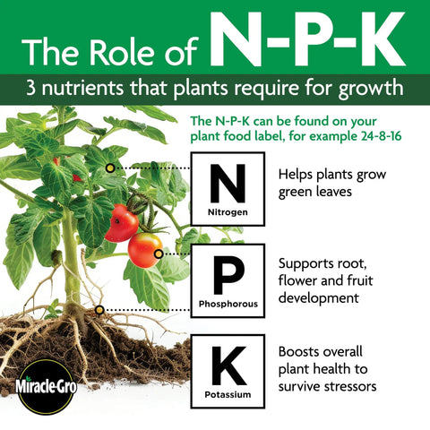 Illustration of N-P-K nutrients in LiquaFeed All Purpose Plant Food Advance Starter Kit for healthy plant growth.