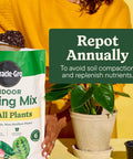 Start Your Indoor Plant Glow Up For Top Shelf Potting Mix For All Houseplants in a 6 quart bag beside a thriving houseplant.