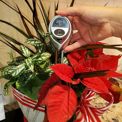 Hand holding a Moisture, Light And pH Soil Test Meter For Garden, Lawn And Indoor Pots, Measures Soil Moisture Level, Light Intensity And pH.