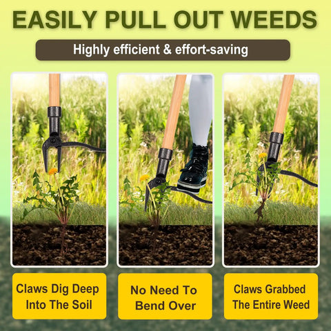 Stand Up Weed Puller Tool With Long Wooden Handle Foot Platform Design 4 Claw Steel Head And Removable 3 Section Pole Garden Tool For Easy Yard Work And Pain Free Weeding Without Bending Or Kneeling, 4-claw steel head pulling weed root
