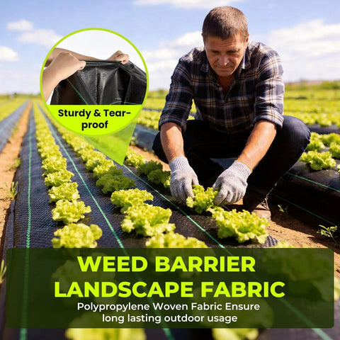 Man installing Heavy Duty 4 Foot By 300 Foot Weed Barrier Landscape Fabric 3.2 Oz Woven Geotextile Ground Cover for Gardens