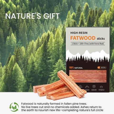 Fatwood Fire Starter Sticks Pack with packaging, resin-rich, waterproof and windproof for camping, 3.9 inch sticks shown.