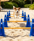 Dog jumping over hurdles in a Backyard Agility Course Set With Low Hurdles And Cone Obstacles For Pups And All Breed Sizes An Epic Outdoor Training Kit