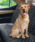 Dog sitting on black waterproof nonslip pet bench seat cover for cars and SUVs, backseat protector for dogs, fits 52 inches wide