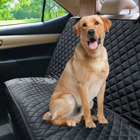 Dog sitting on black waterproof nonslip pet bench seat cover for cars and SUVs, backseat protector for dogs, fits 52 inches wide