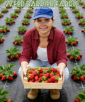 Person holding strawberries on 4 By 50 Ft Weed Barrier Landscape Fabric with 20 U Shaped Stakes in a garden