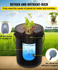 Five Bucket Deep Water Culture Hydroponic Grow System with 5 gallon bucket showcasing air stone and pump for leafy greens