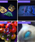 Powerful Dual UV Flashlight 365nm 395nm Mini Wood Lamp USB C Rechargeable Ultraviolet Blacklight detects cat ringworm