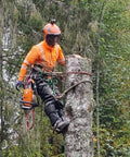 Arborist using Tree Climbing Gear Set With Spikes And Adjustable Straps For Arborists Hunters And Fruit Picking, with safety gear.