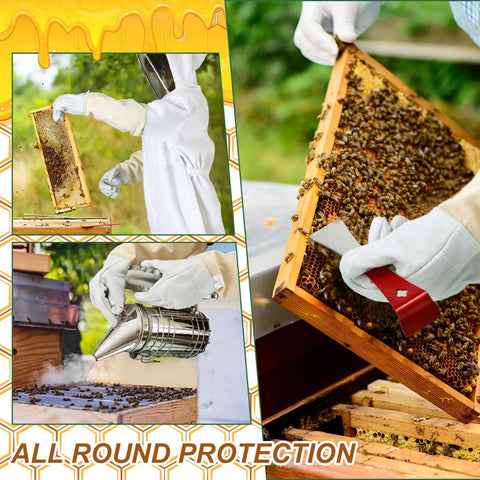 Beekeeping Starter Kit 30 Pcs With Bees Suit Gloves Hive Boxes Storage Bag And Essential Tools For Newbies