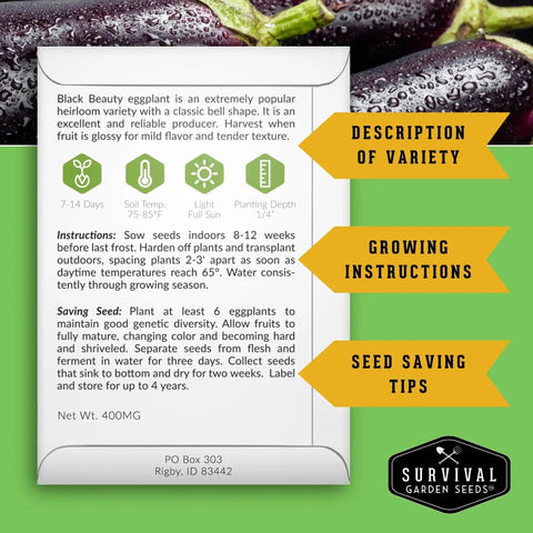 Back of heirloom Black Beauty eggplant seed packet detailing variety description, growing instructions, and seed saving tips.