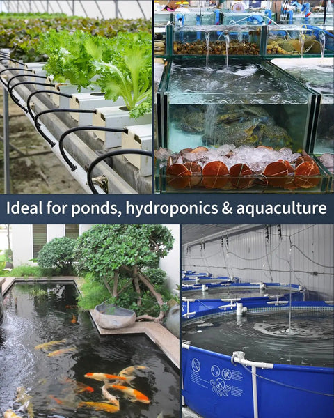 Collage showing uses of Outdoor Pond Air Pump 500 GPH Aerator Kit in ponds, hydroponics, and aquaculture setups.