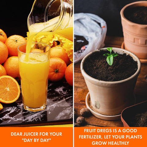 Masticating juicer attachment for KitchenAid; orange juice pours beside oranges, with a seedling in a pot on the right.