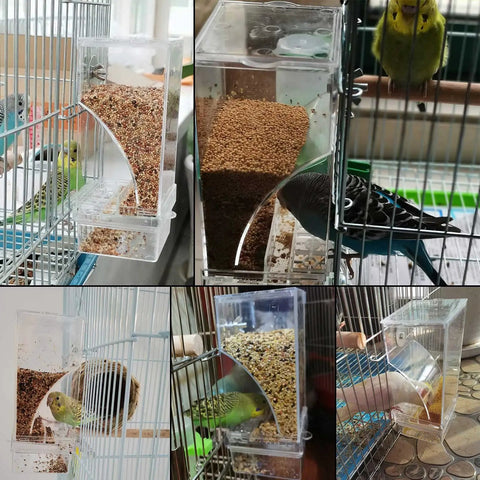 No Mess Acrylic Bird Feeder With Built In Perch And Secure Lid For Parakeets Finches Lovebirds And Canaries, clear feeding design shown.
