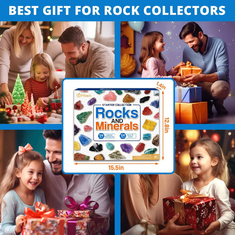 Family enjoying the Geology Starter Kit With 54 Piece Rock Collection Including Gemstones Crystals And Minerals Learning Book And ID Cards Earth Science Toy Gift For Kids And Adults Aged Eight And Up Hands On Science Fun at a festive gathering.
