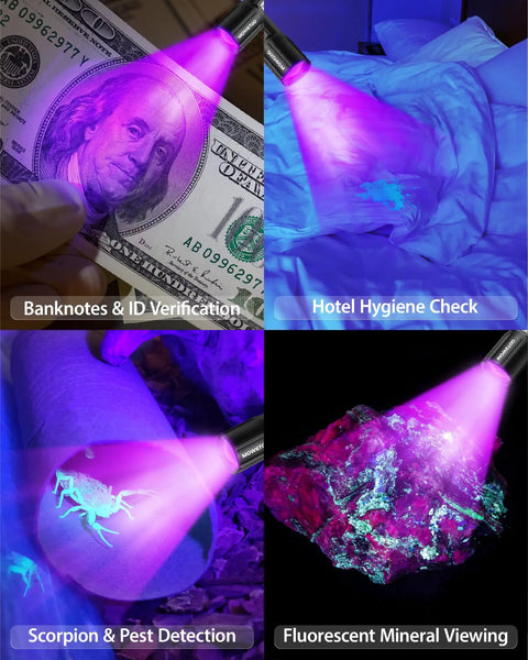 2-In-1 Black Light Flashlight With 395nm UV And White Light illuminating banknote, bed sheets, scorpion, and mineral