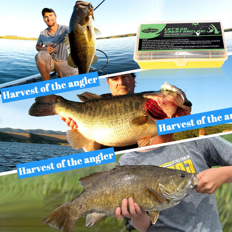 Catch More Bass With This 322 Piece Bass Fishing Lures Kit Tackle Box Included Includes Soft Baits Hooks Weights Buzz Baits Spinner Baits Jigs Frogs For Freshwater Anglers Gift For Men