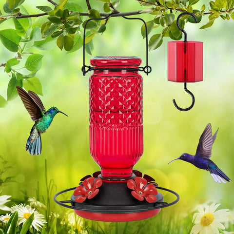 Glass Hummingbird Feeder With Ant Moat And Bee Proof Ports 16 Oz Outdoor Hanging Bird Feeder With 360 Degree Perch Leak Proof Design Red