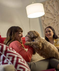 Two women relaxing on a couch with a small dog, under ambient light from Pro Series A19 75W Equivalent LED Bulbs 1100 Lumens Daylight.