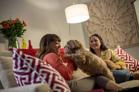 Two women sitting on a couch with a dog, under the warm light of Next Level Pro Series A19 LED Bulb 75W Equivalent 1100 Lumens.