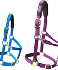 Blue and purple heavy duty adjustable horse halter with soft nylon and waffle neoprene cushions on crown and nose built tough detachable cushioned pad
