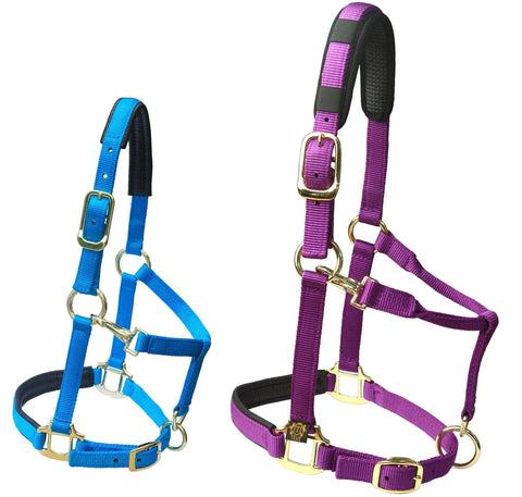 Blue and purple heavy duty adjustable horse halter with soft nylon and waffle neoprene cushions on crown and nose built tough detachable cushioned pad