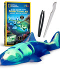 Glow In The Dark Great White Shark Anatomy Kit With 12 Bones And Organs, Safe Synthetic Dissection Lab For STEM Education