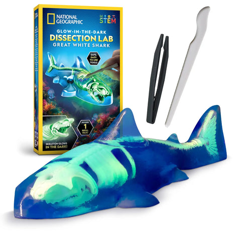 Glow In The Dark Great White Shark Anatomy Kit With 12 Bones And Organs, Safe Synthetic Dissection Lab For STEM Education