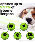 Dog under blanket next to text showing allergens filtered by 3 Stage HEPA Air Filter For Alen BreatheSmart Classic And BF35