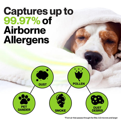 Dog under blanket next to text showing allergens filtered by 3 Stage HEPA Air Filter For Alen BreatheSmart Classic And BF35