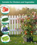 Two Pack Raised Garden Bed Planter Box With Trellis 58 Inch Tomato Planter For Climbing Plants Vegetables Vines And Flowers Self Watering Tomato Cage For Garden Patio Outdoor Or Indoor Use next to white fence with roses