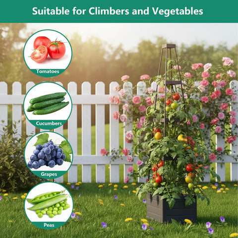 Two Pack Raised Garden Bed Planter Box With Trellis 58 Inch Tomato Planter For Climbing Plants Vegetables Vines And Flowers Self Watering Tomato Cage For Garden Patio Outdoor Or Indoor Use next to white fence with roses