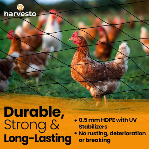 Heavy Duty Bird Netting For Chicken Coops And Garden Use One And A Half Inch Mesh To Stop Hawks And Predators Protect Trees Veggies