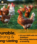 Heavy Duty Bird Netting For Chicken Coops And Garden Runs Tangle Free One And A Half Inch Mesh Keeps Hawks And Predators Out Built To Last For Blueberries Vegetables And Fruit 25 Ft By 50 Ft shown with chickens