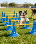 Dog jumping over Dog Agility Hurdle Cone Set For Backyard Training With 4 Adjustable Height Levels And Crossbar Rehab Friendly Obstacle Course Kit For Beginners Includes 10 Blue Bases And 5 Yellow Bars on green grass.