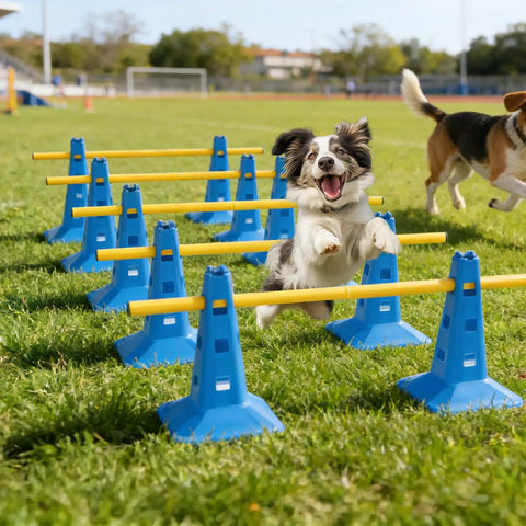 Dog jumping over Dog Agility Hurdle Cone Set For Backyard Training With 4 Adjustable Height Levels And Crossbar Rehab Friendly Obstacle Course Kit For Beginners Includes 10 Blue Bases And 5 Yellow Bars on green grass.