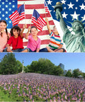 Pack Of 12 12X18 Inch Outdoor American Flags On Sticks With Vivid Color Kid Safe Spear Top Patriotic Yard Flags in park.