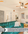 Living room with ceiling fan lighting, highlighting Incandescent A15 Appliance Light Bulbs 40W Dimmable 320 Lumens Frost Finish E26 Base 2600K Warm White Mercury Free 12 Count Pack Perfect For Ceiling Fixtures Lamps And Small Appliances.
