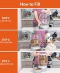 How to fill Hassle Free Automatic Cat And Dog Gravity Food Feeder Dispenser With Easy Snap Top Lid Holds Eighteen Pound Kibble In Pearl Peacock Blue.