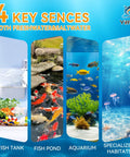 4 key senses for fish tanks, fish ponds, aquariums, and specialized habitats showcasing aquatic environments.
