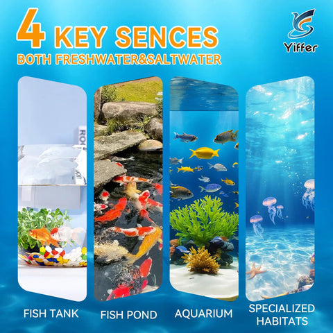 4 key senses for fish tanks, fish ponds, aquariums, and specialized habitats showcasing aquatic environments.
