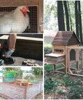 Heavy Duty Black Hardware Cloth Roll PVC Vinyl Coated Galvanized Steel Wire Mesh One Quarter Inch 23 Gauge Size protecting chicken coop.