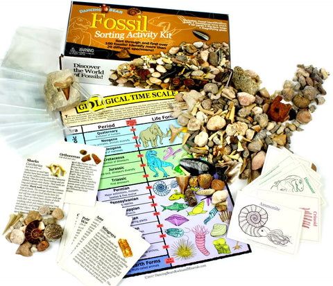 Fossil Sorting Activity Kit With Over 100 Real Fossils, 20 Varieties, Color ID Cards, ID Sheets, and Magnifying Glass displayed