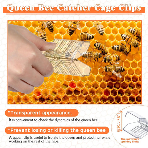 Hand using queen catcher clip from Beekeeping Starter Kit 11 Piece Queen Bee Marking Set on honeycomb.